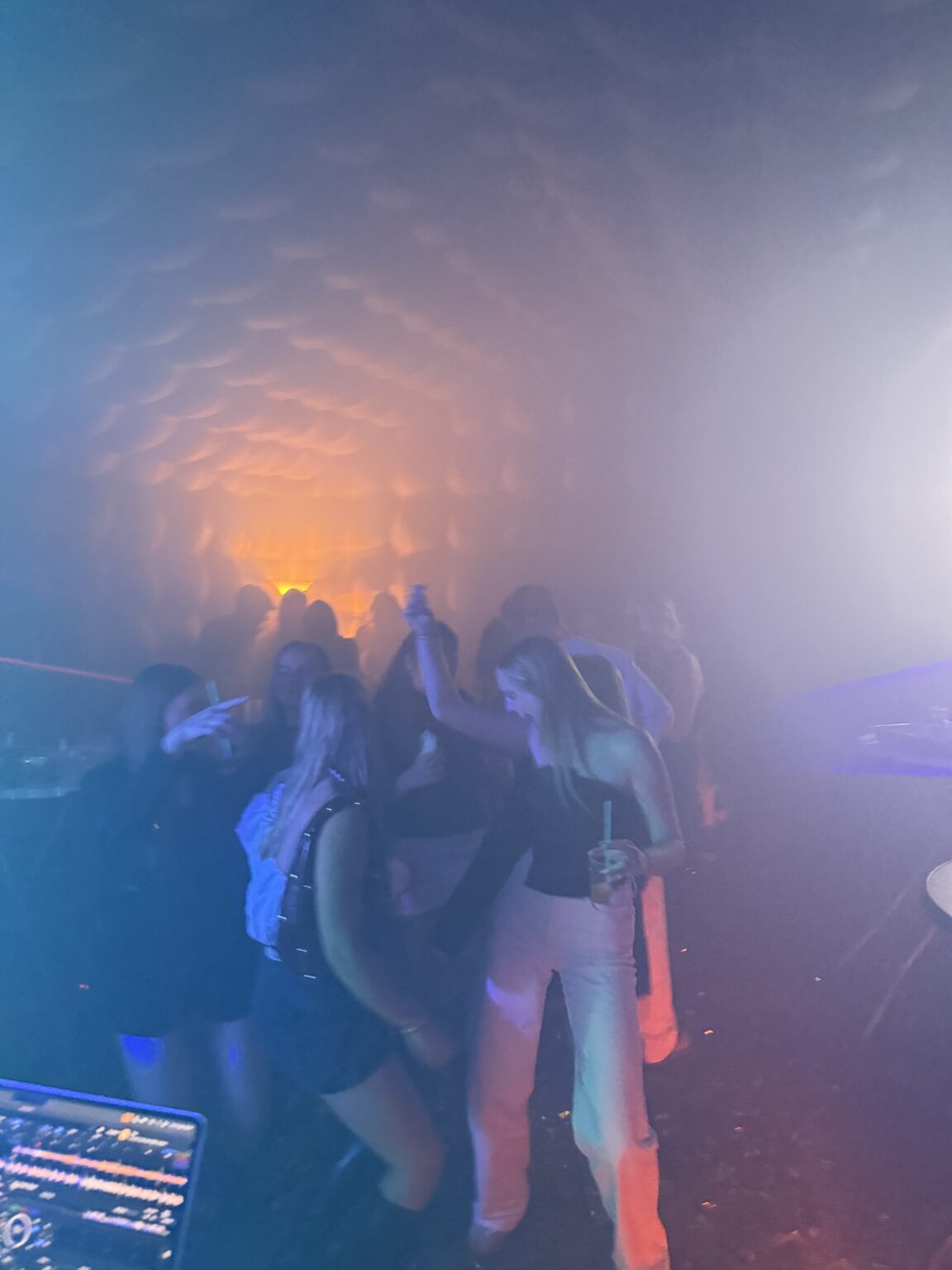 Dansend publiek bij DJ optreden - DJ Huren bij Stagelinker